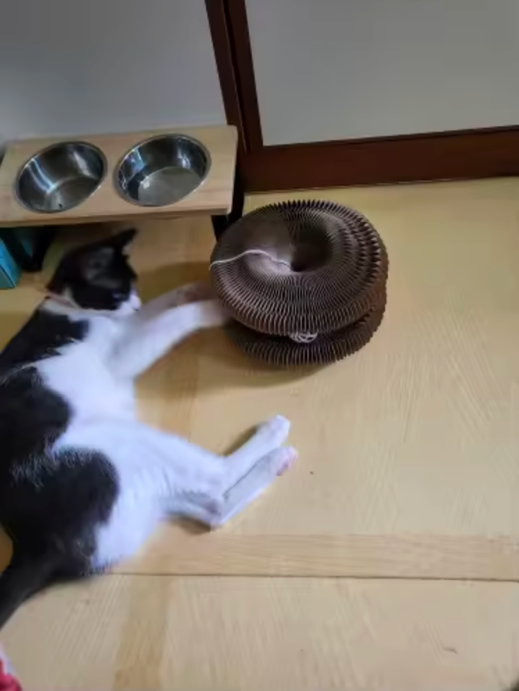 Review by Katie Burns - Southampton