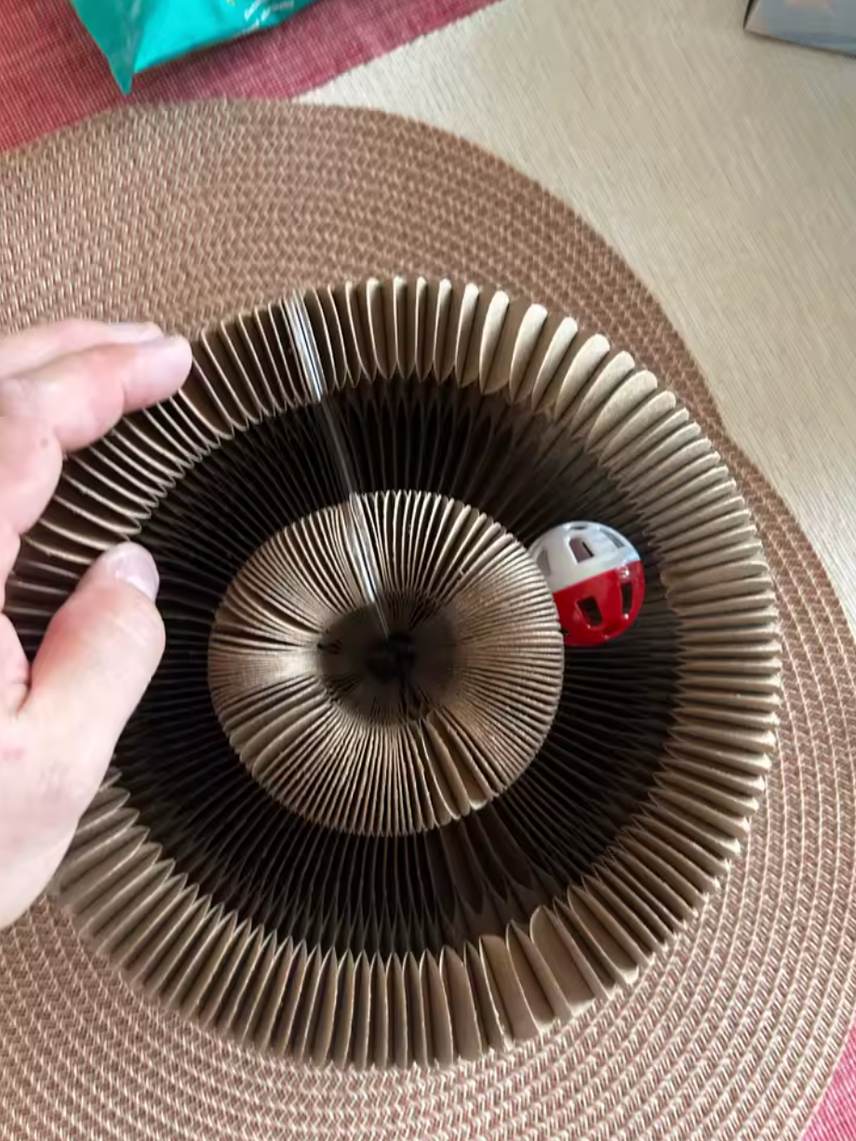 Review by Rebecca Johnson - Sheffield