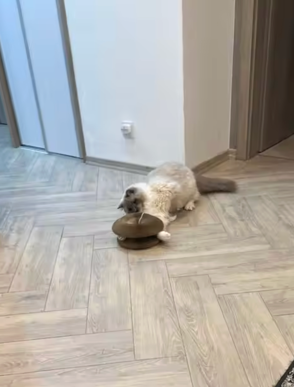 Review by Chris McDonald - Aberdeen