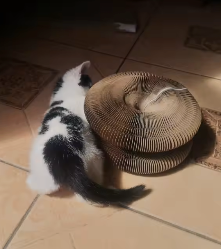 Review by Rachel L. – Leeds