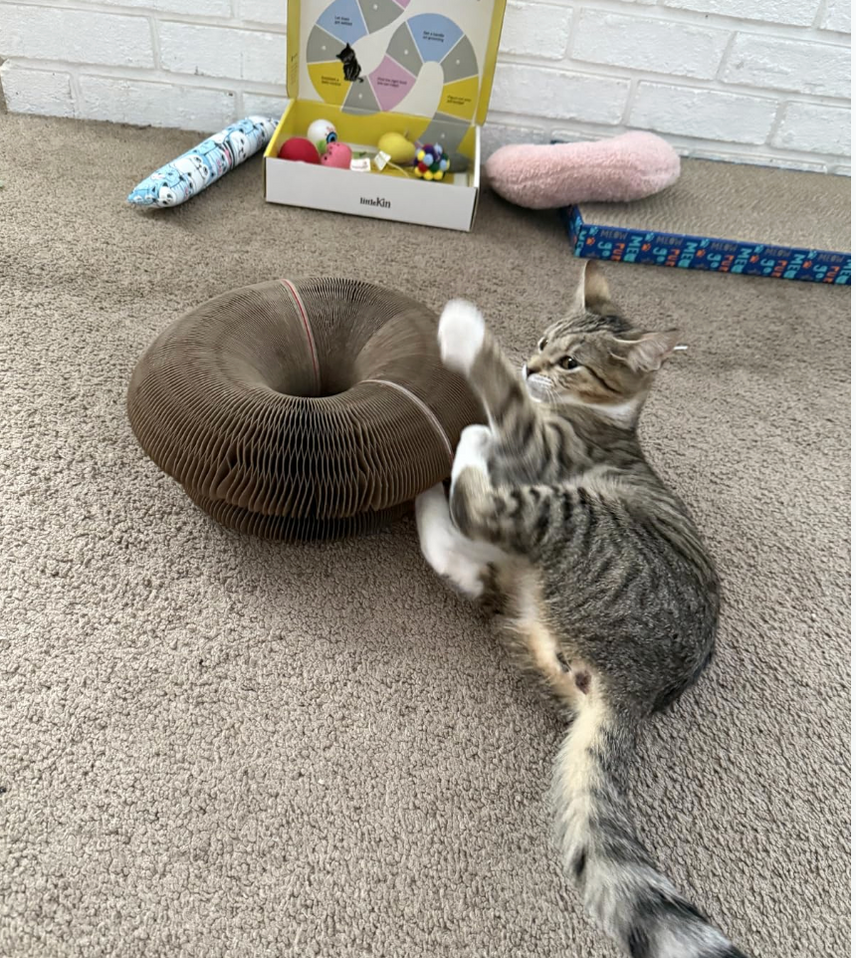 Review by Molly Baker - Leeds