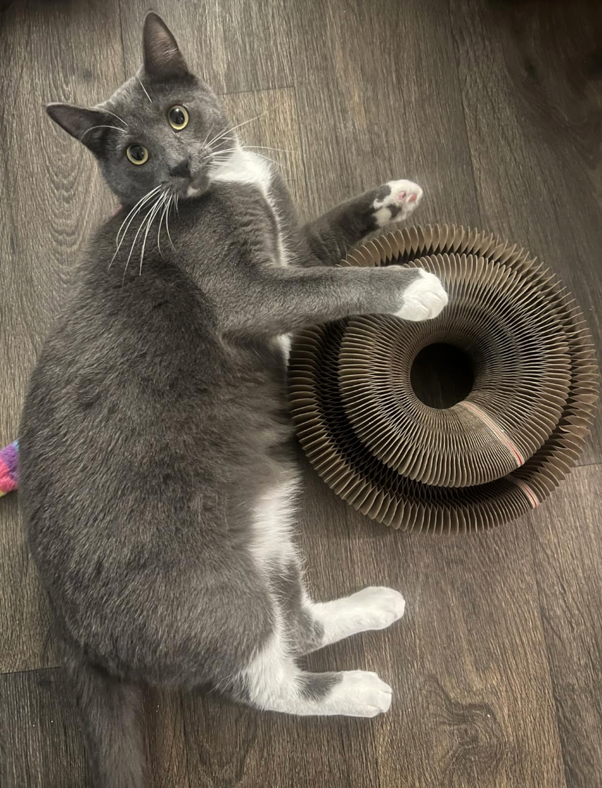 Review by Sarah Mitchell - Manchester