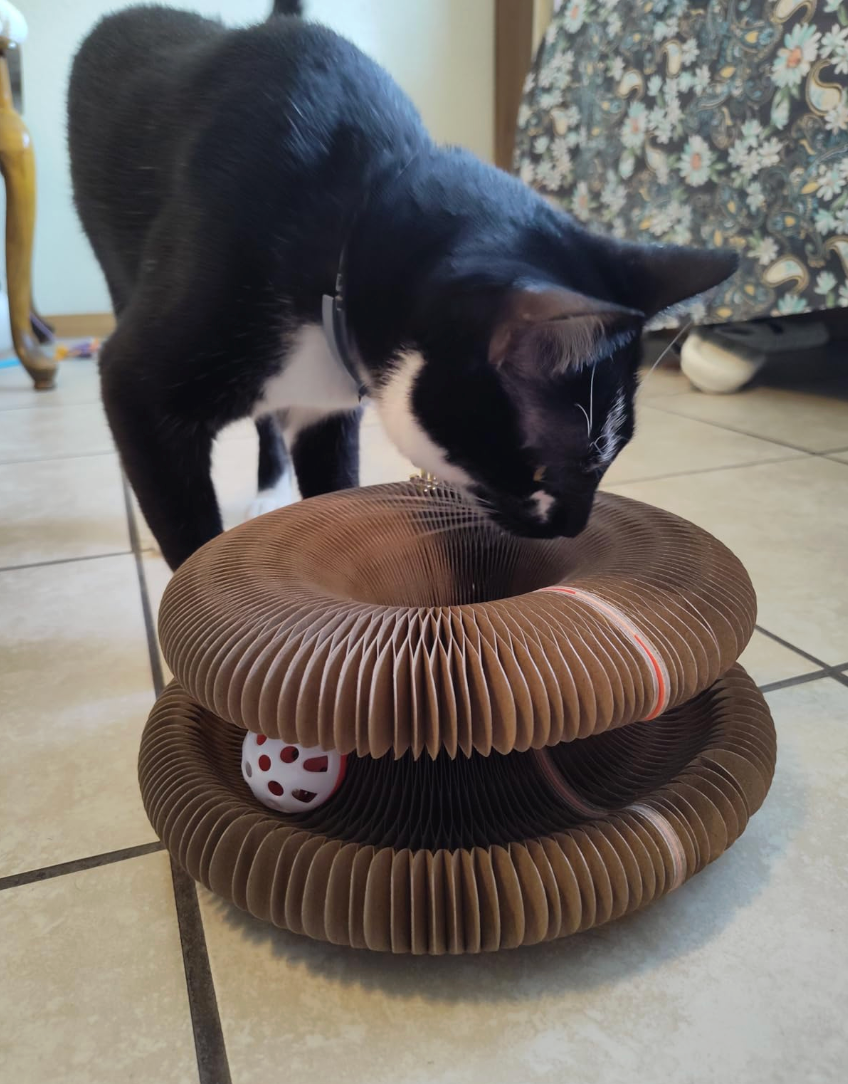 Review by Stuart Banks - Derby