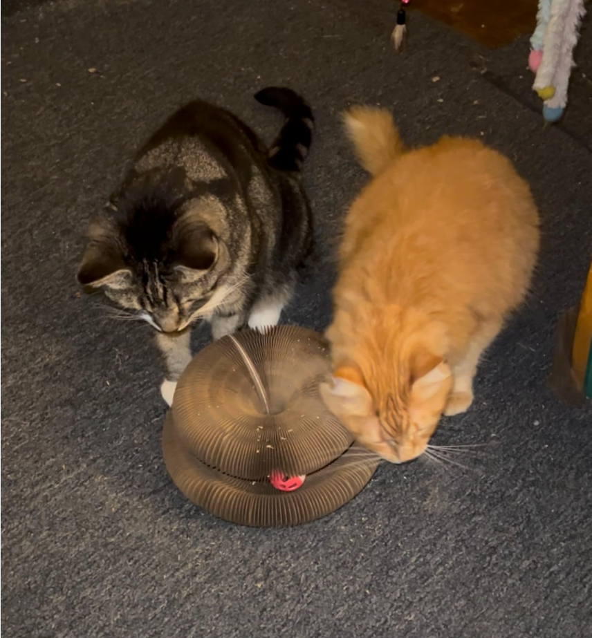 Review by Greg Thompson - Portsmouth