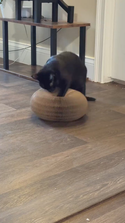 WavePaws: Magic Cat Scratcher